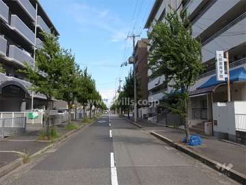 敷地北側の前面道路。街路樹のきれいな二車線の通りです。