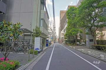 敷地東側の前面道路（南側から）