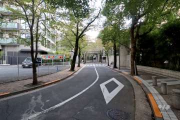 敷地南西側の前面道路