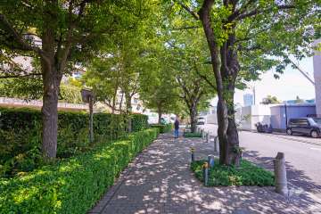 物件南側の前面道路