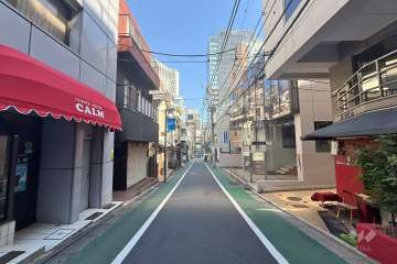 敷地北東側の前面道路（北西側から）
