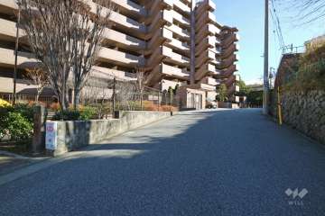 敷地南西側の前面道路