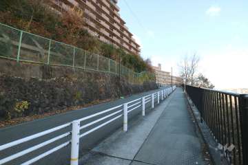 敷地北東側の前面道路（駅につながる道です。）