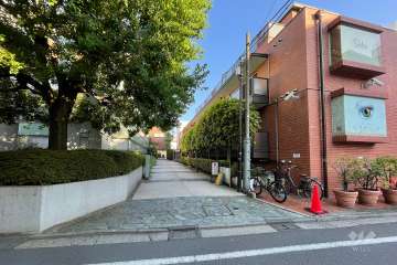 敷地の北東側前面道路（北西側から）