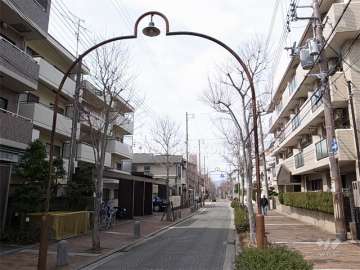 敷地北側の前面道路はインターロッキング舗装され、街路樹のきれいな通りです。