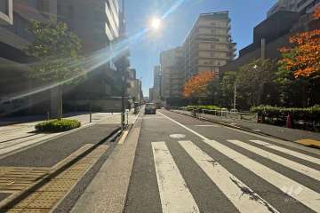 敷地西側の前面道路（北側から）