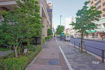 敷地北側の前面道路は目黒通りです（東側から）。