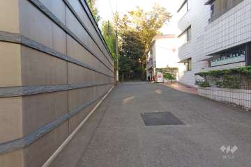 敷地西側の前面道路（北側から）