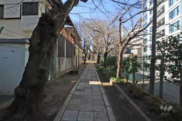 敷地南側の前面道路