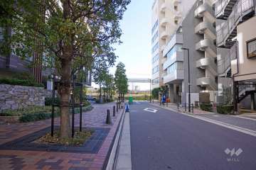 敷地南側の前面道路（西側から）