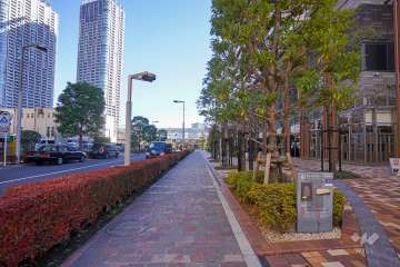 敷地北側の前面道路（西側から）