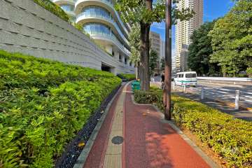 敷地南東側の前面道路（南側から）