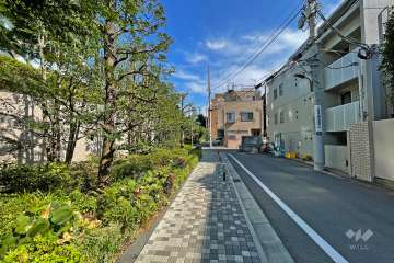 敷地西側の前面道路（北側から）