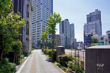 敷地西側の前面道路（国道1号桜田通り）