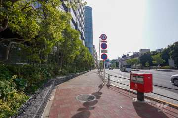 敷地南側の前面道路（西側から）