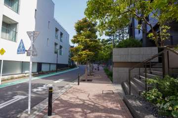 敷地西側の前面道路（南側から）