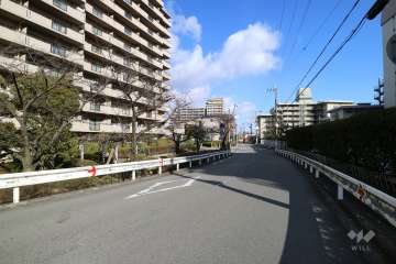 敷地南側の前面道路
