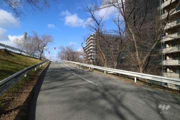 敷地西側の前面道路。道を挟んで武庫川が流れています。
