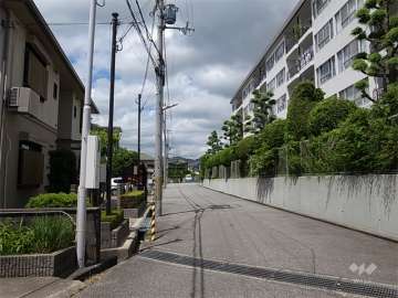 敷地南側の前面道路