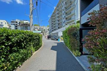 敷地西側の前面道路（北側から）