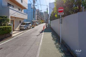 敷地西側の前面道路（北側から）