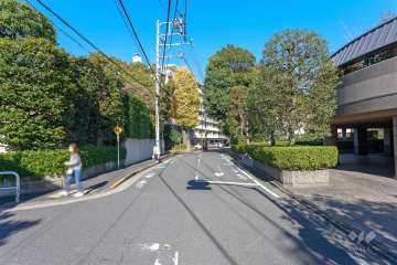 敷地西側の前面道路（南側から）