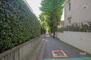 敷地南側の前面道路（西側から）