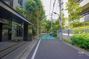 敷地西側の前面道路（北側から）