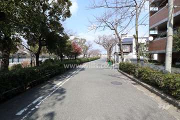 西側前面道路(南側から)