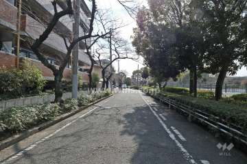 西側前面道路(北側から)