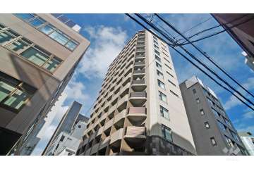 コンシェリア新橋トウキョウプレミアムの外観（南西側から）