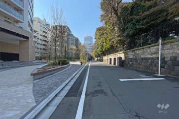 敷地西側の前面道路（北側から）