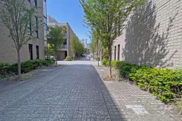 敷地南西側の前面道路（南東側から）