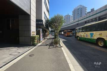 敷地南側の前面道路（西側から）