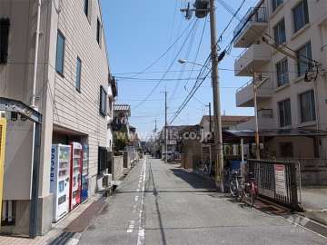 敷地北側の前面道路。
