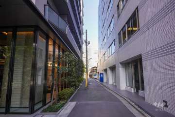 敷地南側の前面道路（西側から）