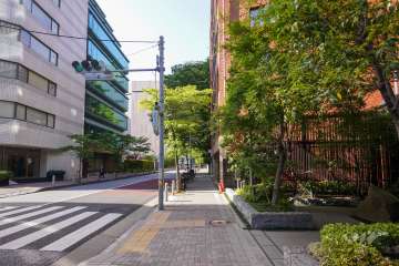 敷地西側の前面道路（南側から）