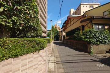 敷地北東側の前面道路（南東側から）