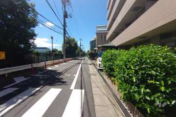 敷地南東側の前面道路（北東側から）