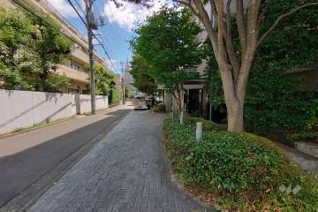 敷地北西側の前面道路（南西側から）