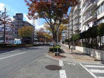 敷地南側の前面道路（山幹通り）