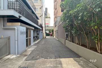 敷地北側の前面道路(西側から)