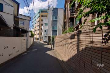 敷地南西側の前面道路（南東側から）