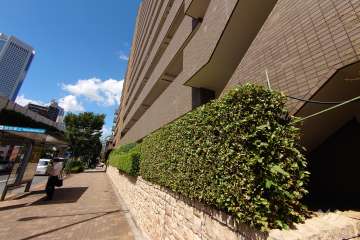 敷地西側の前面道路（南側から）