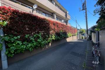 敷地南東側の前面道路（南西側から）