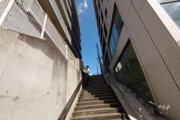 敷地南側の前面道路（西側から）