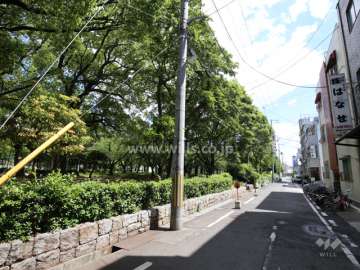 敷地西側の前面道路。目の前に『宮前公園』があります。