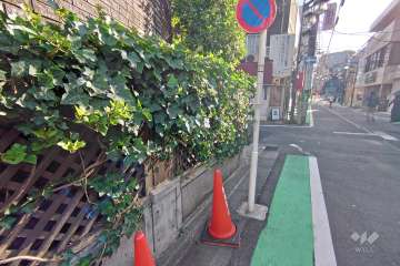 敷地北側の前面道路（東側から）