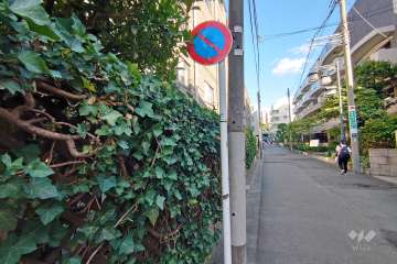 敷地西側の前面道路（北西側から）