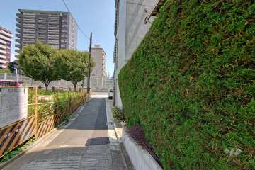 敷地北側の前面道路（西側から）